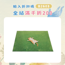 卡通貓咪治癒系入戶地墊絲圈腳墊玄關除塵地墊大門口防滑墊可裁剪