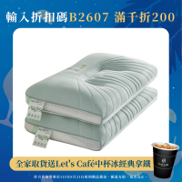 夏季超柔涼感冰絲乳膠枕頭一對裝護頸椎助睡眠家用學生宿捨枕頭芯