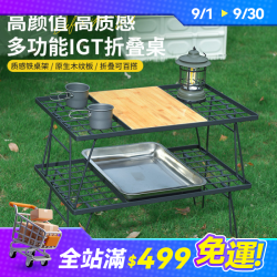 戶外野營可折疊可攜式igt桌露營桌網格多功能桌子單元板野餐鐵網桌