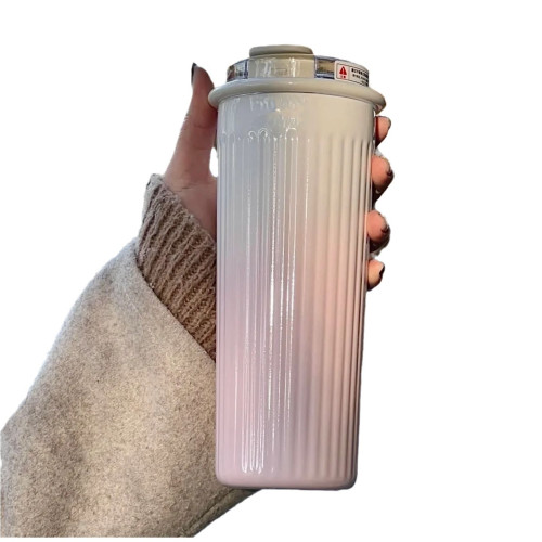 ins高顔值316不鏽鋼保溫杯學生女生雙飲吸管杯可攜式車用辦公水杯 ins高顔值316不鏽鋼保溫杯學生女生雙飲吸管杯可攜式車用辦公水杯