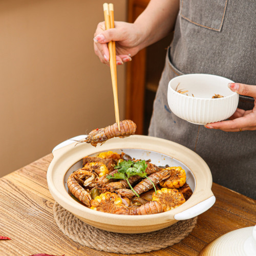 天戈日式陶土砂鍋大號煲仔飯淺鍋陶瓷乾鍋菜燉肉煲湯乾燒不裂砂鍋
