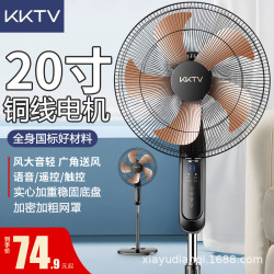 電風扇落地家用風扇搖頭強力定時立式宿舍省電大風力