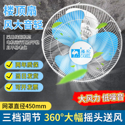 駱駝宿捨餐廳樓頂扇吊頂360度搖頭風扇16 18寸吸頂扇學校工程