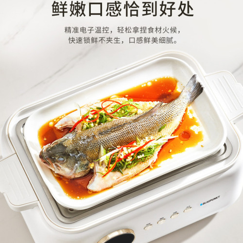藍寶聚能鮮蒸鍋電蒸鍋蒸燉鍋多功能家用隔水燉盅全自動預約蒸汽鍋