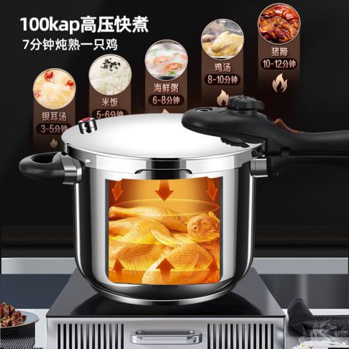 德國新款316不鏽鋼小型高壓鍋家用迷你加厚防爆壓力鍋瓦斯電磁爐