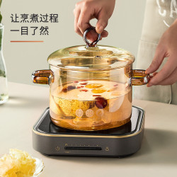 #高硼矽玻璃鍋明火家用燉湯透明關東煮鍋電陶爐泡麵鍋耐高溫向之