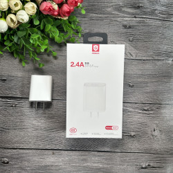 紅果 G02 手機充電器 快速充電 2安 智能識別 快充 小巧可攜式 3C認