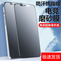 適用蘋果16磨砂鋼化膜iPhone15防窺全屏14Promax手機膜13mini藍光