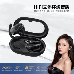 GT530柏林之聲藍牙耳機真無線掛耳式運動不入耳超長續航音質