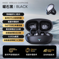 HM20AI翻譯真無線藍牙耳機耳夾式降噪運動遊戯低延遲運動無線