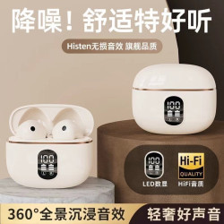 【柏林之聲】2025入耳式藍牙耳機立體環繞高清通話降噪長續航