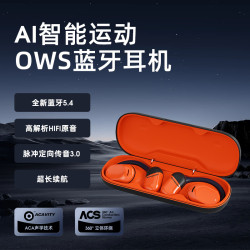新款AI智能翻譯藍牙無線耳機QH-010超長續航降噪藍牙耳機