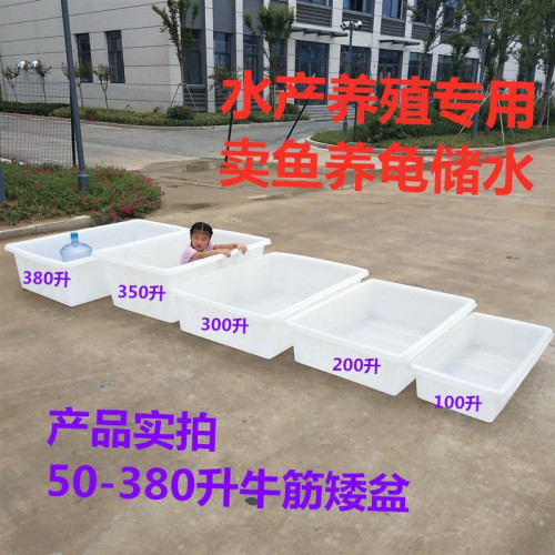 特大加厚牛筋塑膠方桶長方形水産養殖水箱家用養魚養龜賣魚盆膠盆