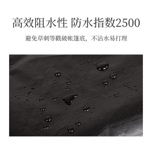 PE船型帳篷地蓆防潮墊加厚野外野戶外地墊野炊春遊郊遊可攜式