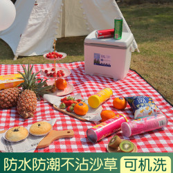 野餐墊野外戶外露營可攜式防水防潮加厚野炊地墊草坪布春遊墊子沙灘