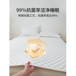Roland Home Textile Class a Double-Sided Pure Cotton Antibacterial Mattress Protective Pad For Home Washable Thin Mattress Soft Cushion Non-Slip Mat Quilt
