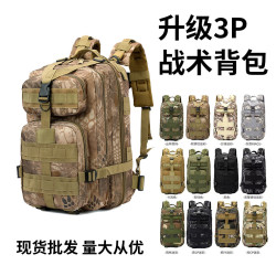 戶外驢友大容量登山包旅行包雙肩後後背包迷彩3P戰術後後背包
