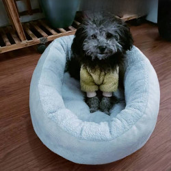 新品狗窩橢圓形寵物窩夏季涼窩狗床中大型犬窩墊冬季保暖貓窩