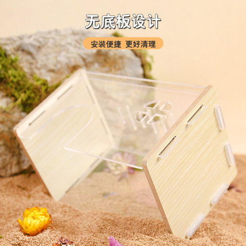 蘆丁雞亞克力陽光房飼養箱用品透明觀賞房子專用造景屋寵物窩用品