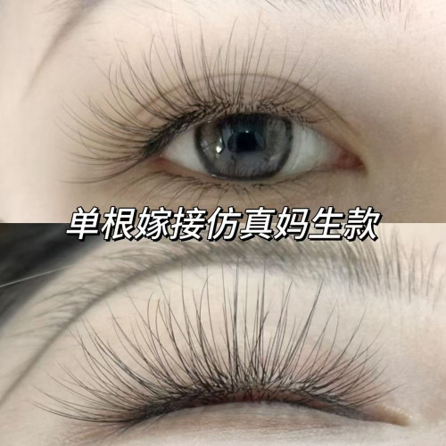 森崎國風山茶花睫毛LJLBLCLD小雙蛋蛋老師同款翹度自然狐系漫畫