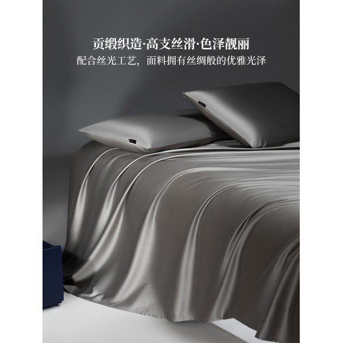 2025新款純色A類100支雙股長絨棉床單單件全棉純棉被單床笠三件套