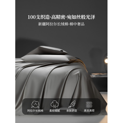 2025新款純色A類100支雙股長絨棉床單單件全棉純棉被單床笠三件套