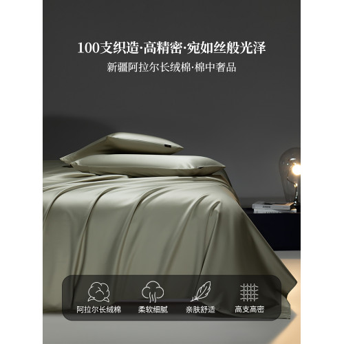 星級酒店100支雙股長絨棉床單單件純棉全棉被單床套罩床笠三件套