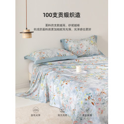 【100支純棉床單單件】全棉100%棉貢緞印花 單雙人新款三件套四季