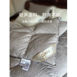 全棉羽絨被被殼半成品自充絨雙層被套專用內膽套被芯防鑽貢緞被罩