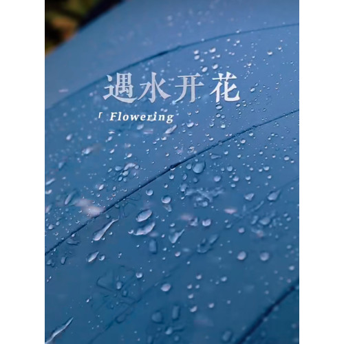 雨水開花變色雨繖創意立體浮雕感水珠長柄繖高級感雨繖女生高顔值