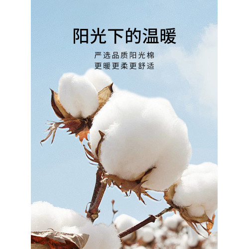 TEVEL/堂皇新疆長絨棉被套全棉高級貢緞素面被罩單雙人輕奢單件
