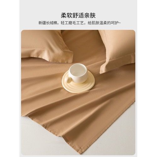 高級100SPro新疆長絨棉磨毛床單單件全棉純棉雙人加厚被單三件套