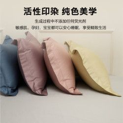 高級100S長絨棉枕套純棉枕頭套48×74cm全棉單個枕芯內膽套男家用