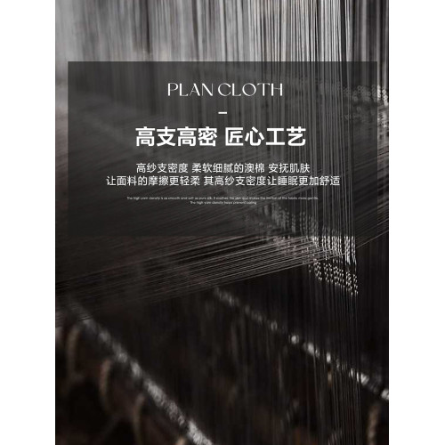 高級感新疆100長絨棉純棉枕套一對裝全棉米色枕芯套48*74cm枕頭套