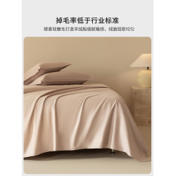 高級100SPro長絨棉磨毛床單單件純棉單人加厚全棉被單三件套宿舍