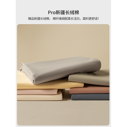 高級100SPro長絨棉磨毛床單單件純棉單人加厚全棉被單三件套宿舍