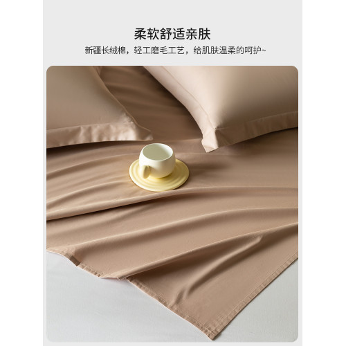 高級100SPro長絨棉磨毛床單單件純棉單人加厚全棉被單三件套宿舍