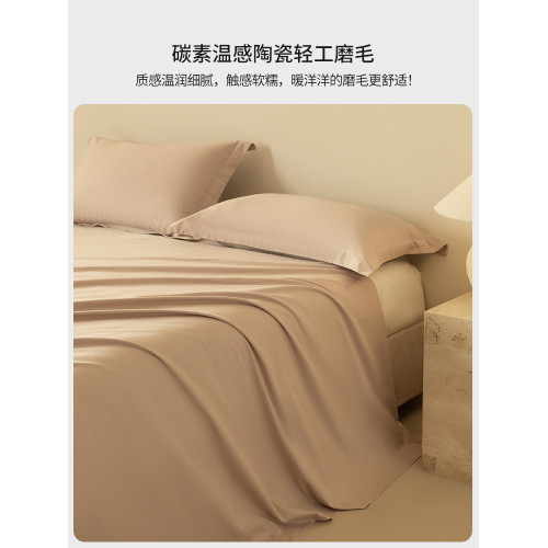 高級100SPro長絨棉磨毛床單單件純棉單人加厚全棉被單三件套宿舍