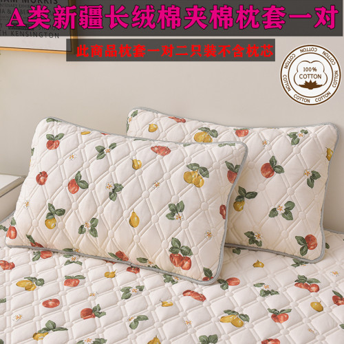 A類100%全棉夾棉枕套48X74cm一對二衹裝防枕芯髮黃枕芯內膽套單人
