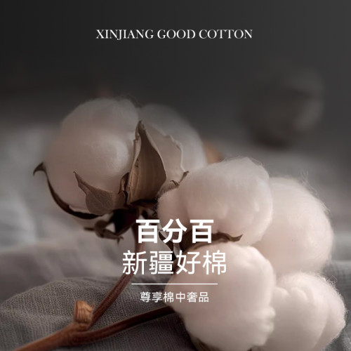 高級100%純棉被套單件全棉150x215x230雙人被罩學生宿舍單人被單