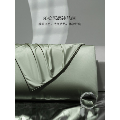 輕奢A類水光冰絲枕套一對夏季涼感枕頭套單人純色枕芯套48cmX74cm