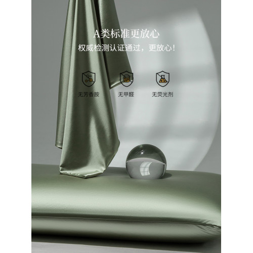 輕奢A類水光冰絲枕套一對夏季涼感枕頭套單人純色枕芯套48cmX74cm