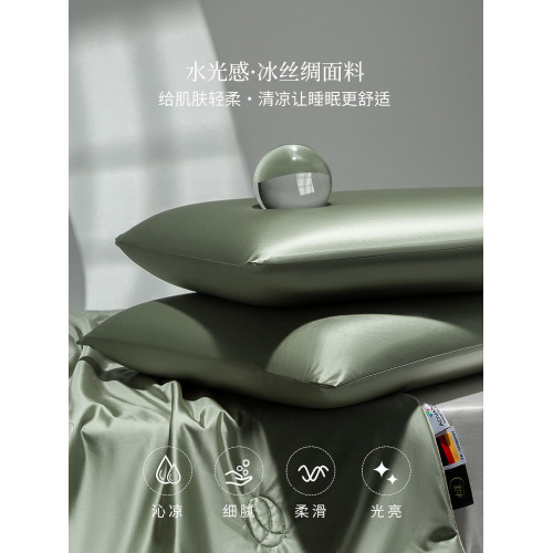 輕奢A類水光冰絲枕套一對夏季涼感枕頭套單人純色枕芯套48cmX74cm