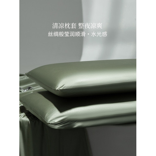 輕奢A類水光冰絲枕套一對夏季涼感枕頭套單人純色枕芯套48cmX74cm