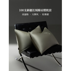 正宗100支雙股長絨棉枕套一對裝全棉純棉家用單人枕頭套48cmx74cm