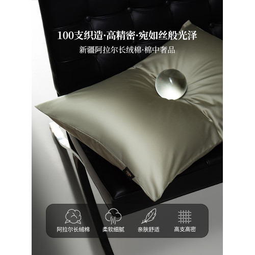 正宗100支雙股長絨棉枕套一對裝全棉純棉家用單人枕頭套48cmx74cm
