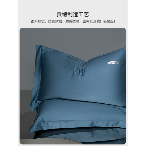 簡約100SPro長絨棉貢緞枕套2024新款家用枕巾枕頭套48*74cm一對裝