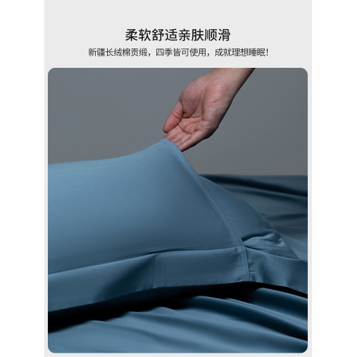 簡約100SPro長絨棉貢緞枕套2024新款家用枕巾枕頭套48*74cm一對裝
