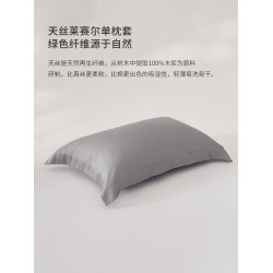 60S萊賽爾天絲單人枕套一對裝春秋枕頭套枕芯內膽套48x74