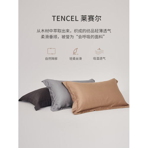 60S萊賽爾天絲單人枕套一對裝春秋枕頭套枕芯內膽套48x74